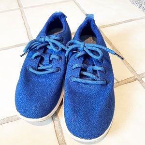 Allbirds Wool Runners in Blue